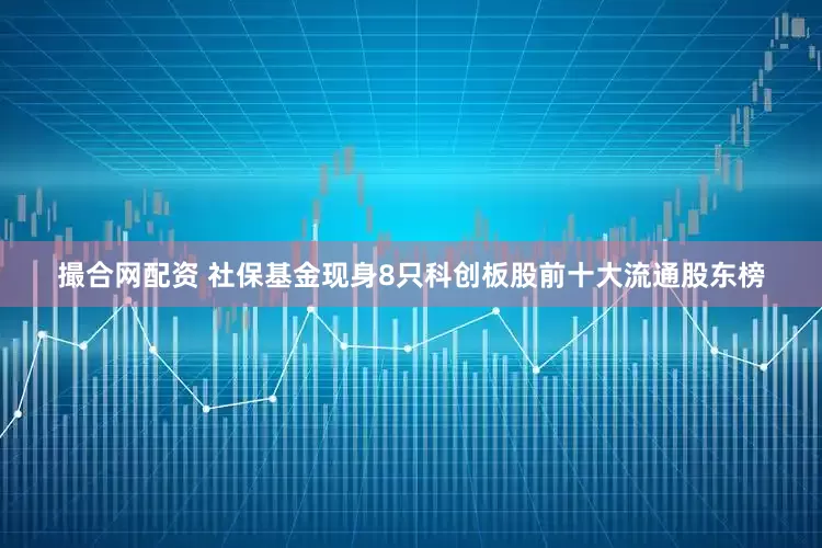 撮合网配资 社保基金现身8只科创板股前十大流通股东榜