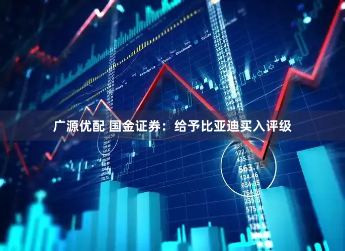 广源优配 国金证券：给予比亚迪买入评级