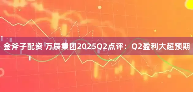 金斧子配资 万辰集团2025Q2点评：Q2盈利大超预期
